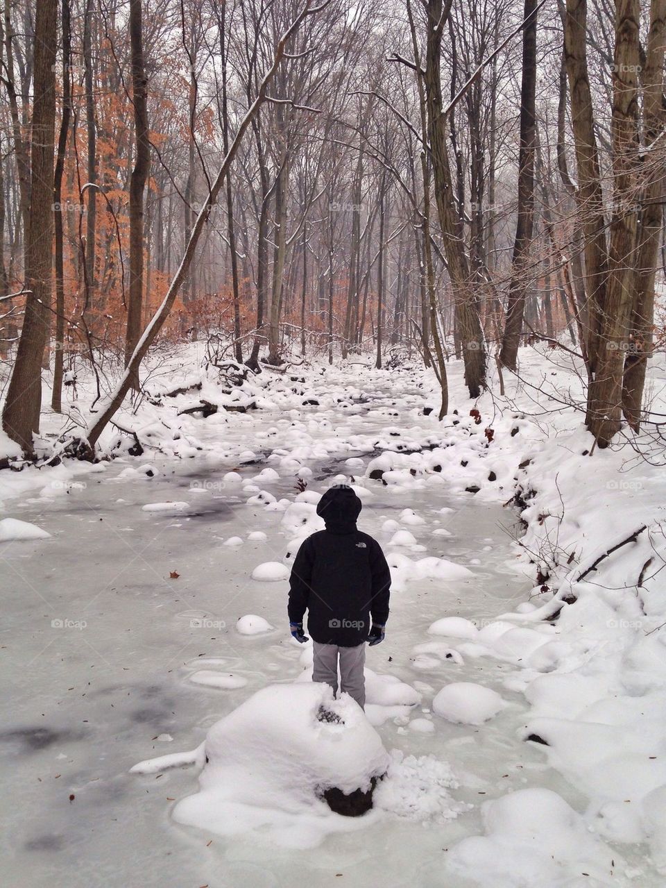 Walking on a frozen river