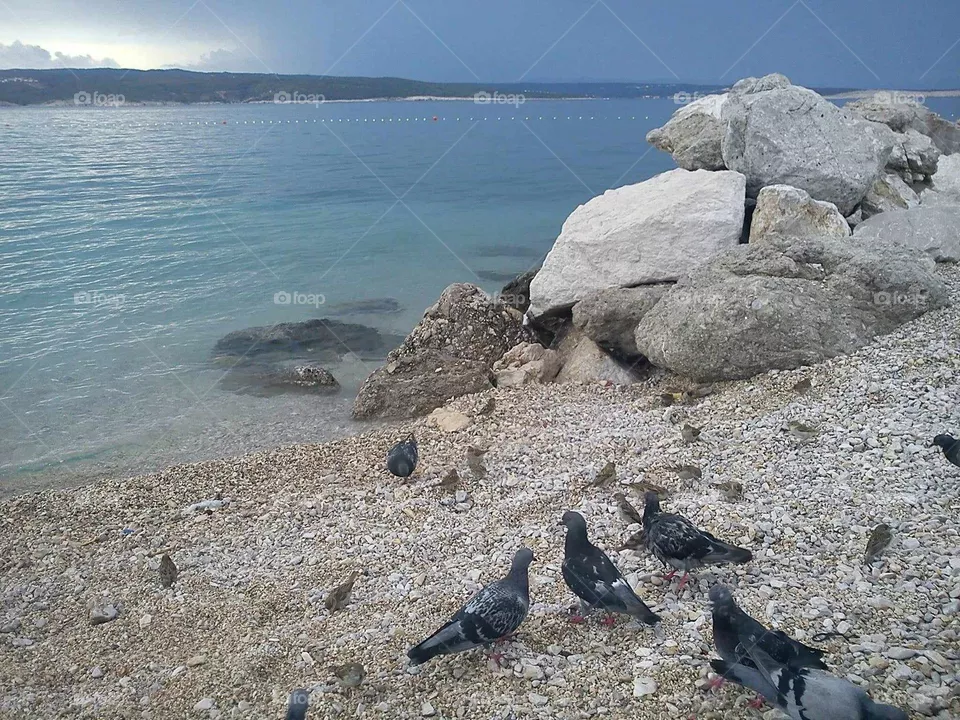 beach