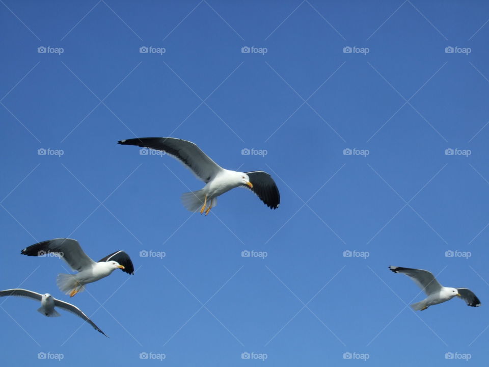 trip to Russia and Solovki-2011