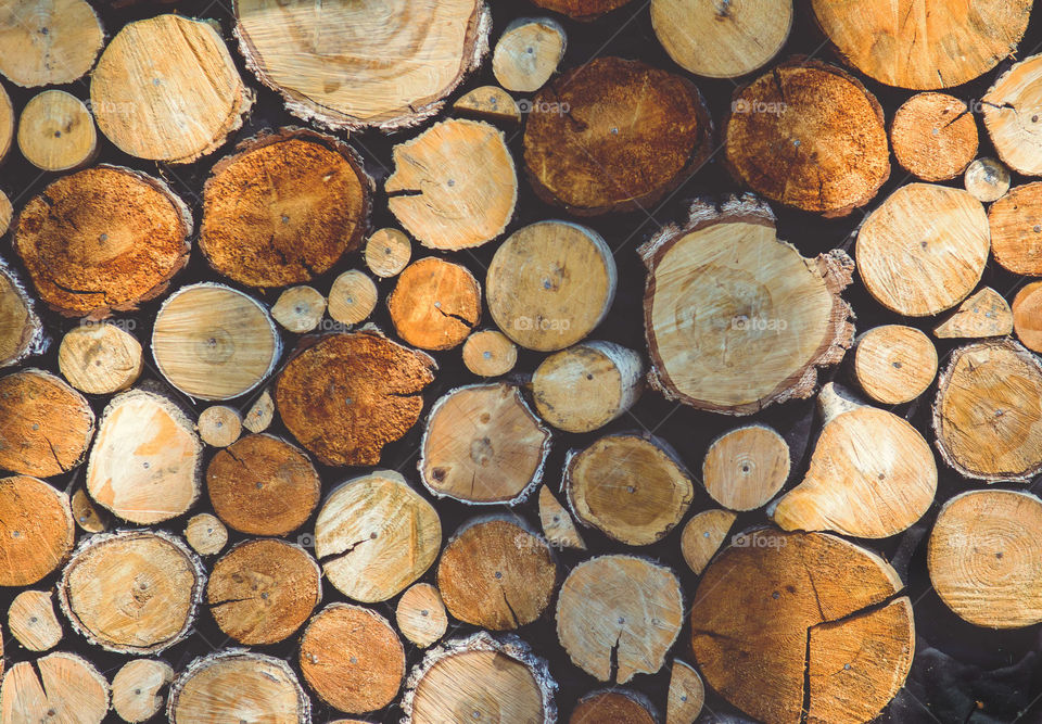 Stack of firewood