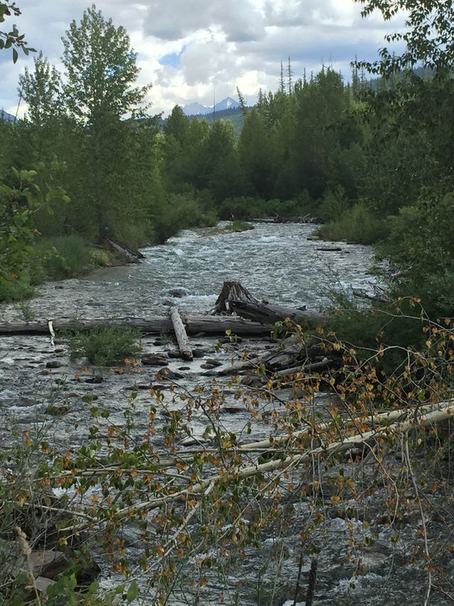 Montana 