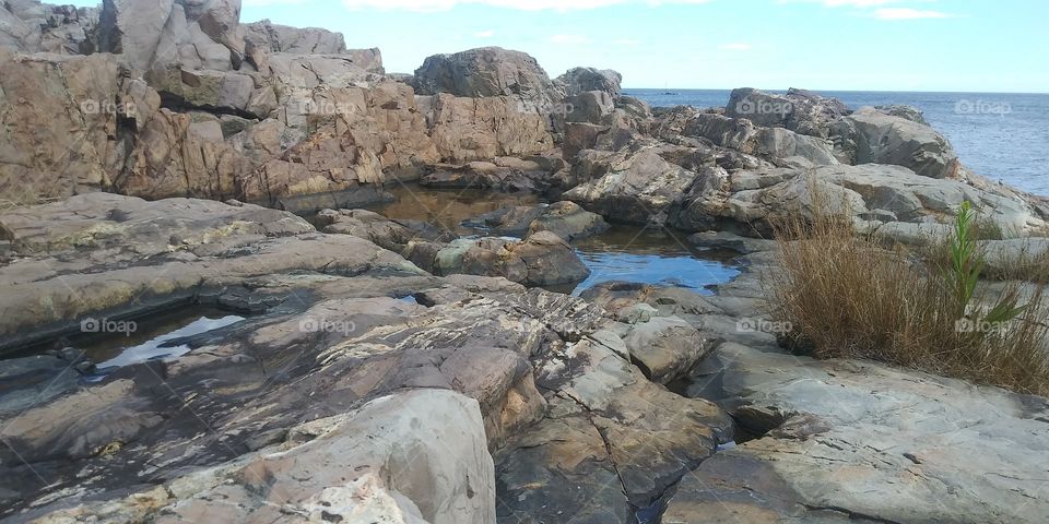 Maine Coast