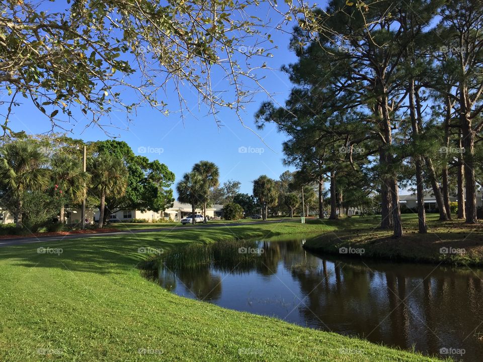 Outdoor scene peaceful park