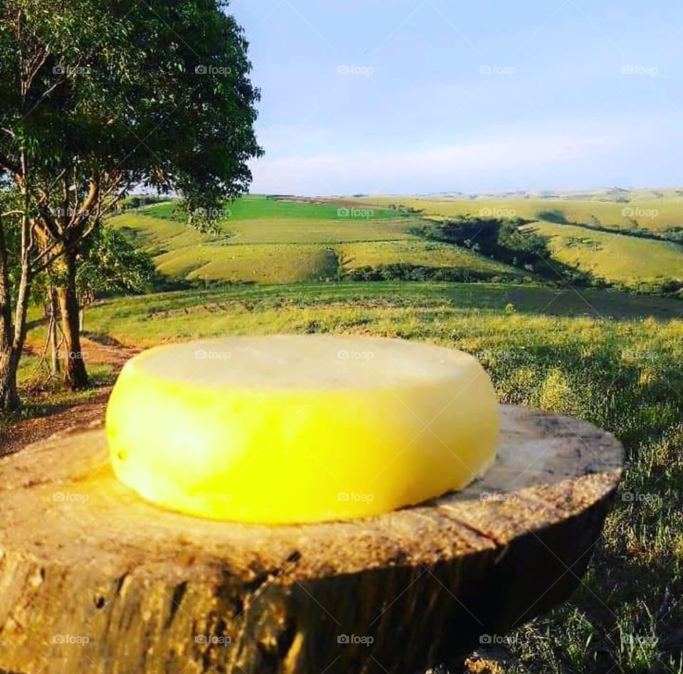 Queijo de Minas Gerais 