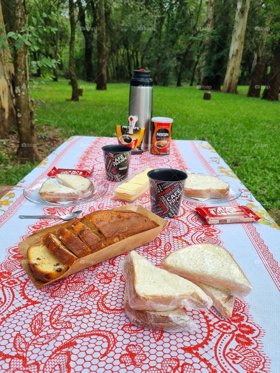 Urban nature: picnic in the park