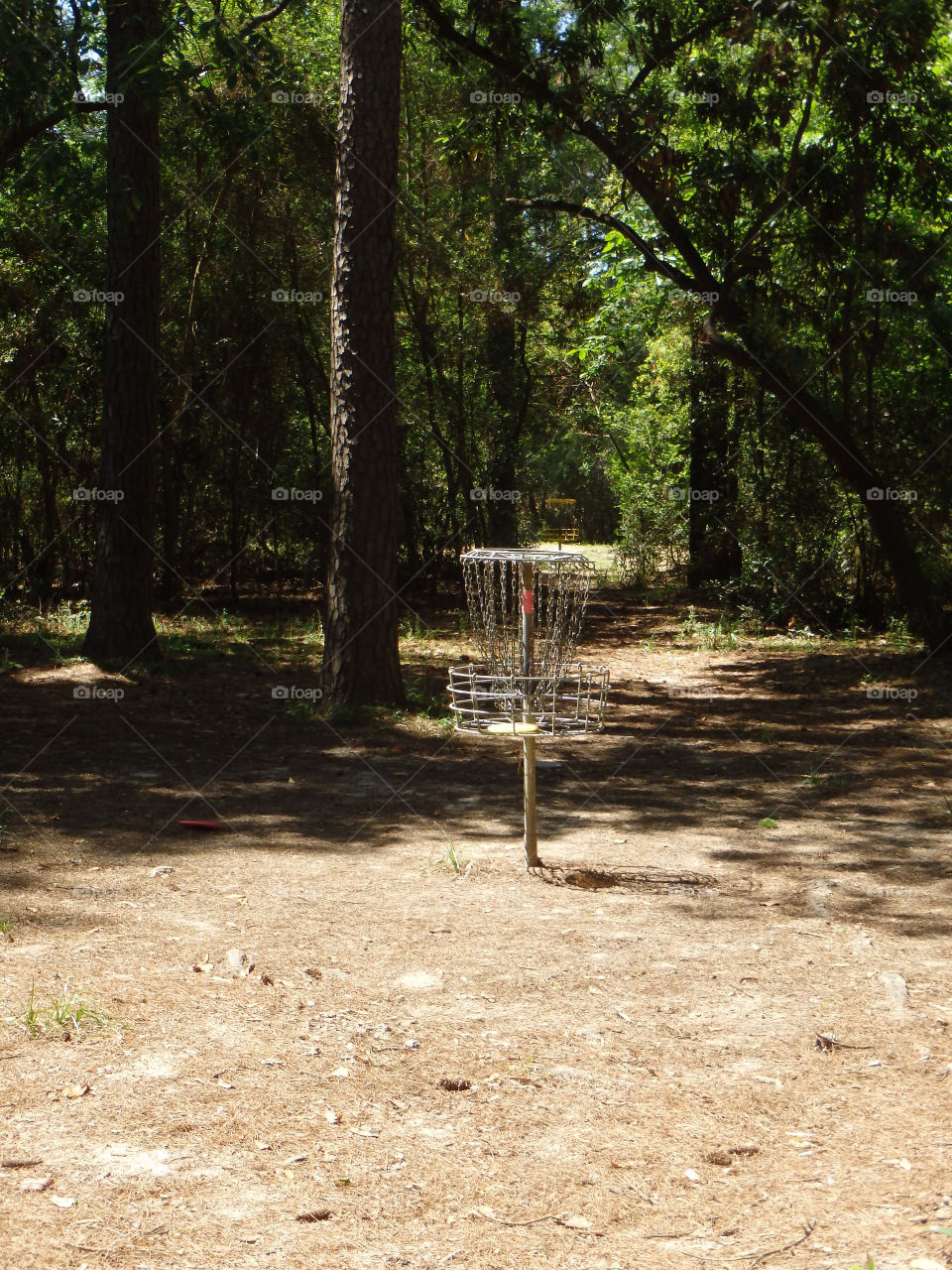 Disc golf
