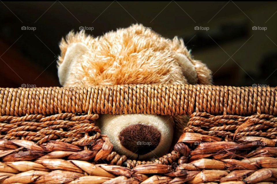 Close up of a stuffed teddy bear sticking its nose out of a basket