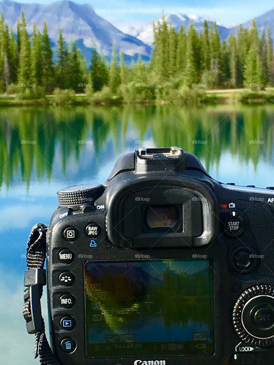 Forgetmenot Pond with camera