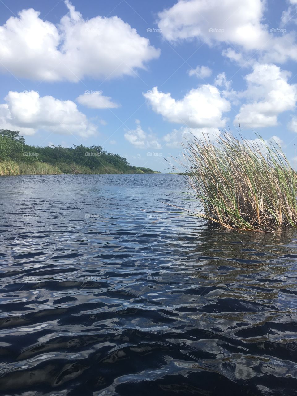 Miami Everglades Speed Boat Trip