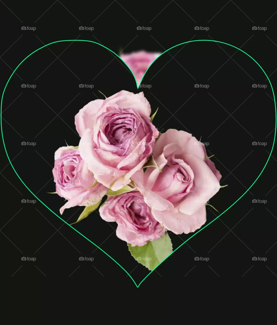 rose in love