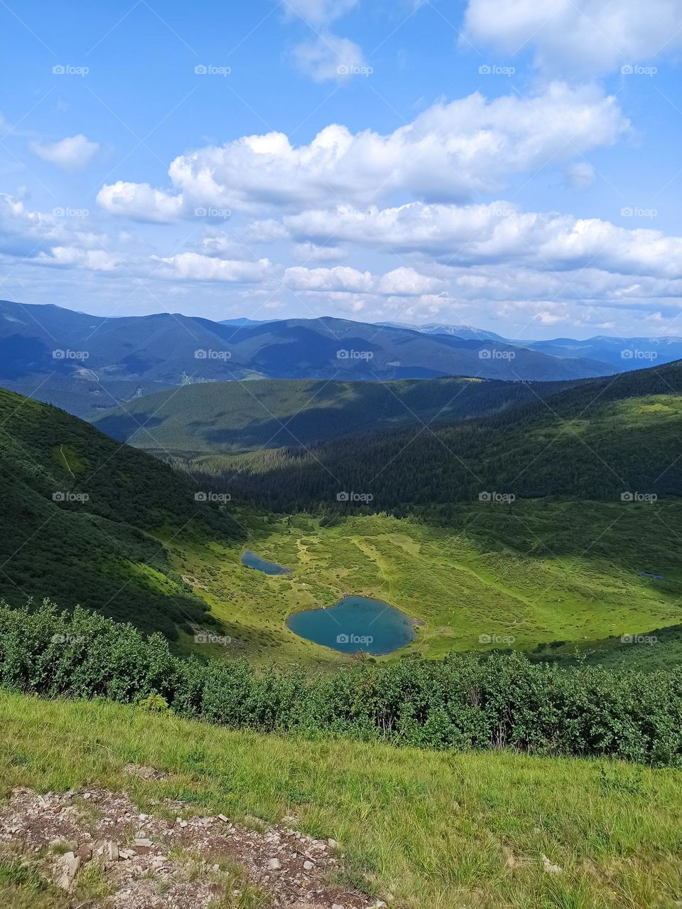 Your favourite travel destination
My beloved Carpathians. Green flower meadows. Cows with bells around their necks. Unforgettable trip across Ukraine. Mountains Dragobrat. Magnificent nature.