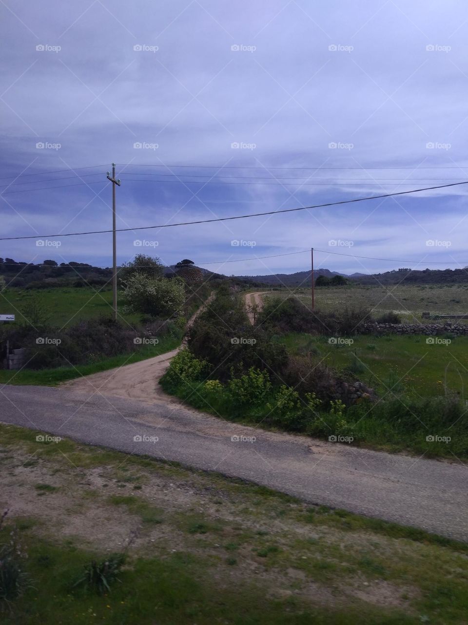 Editors' Choice: Photo of the Week