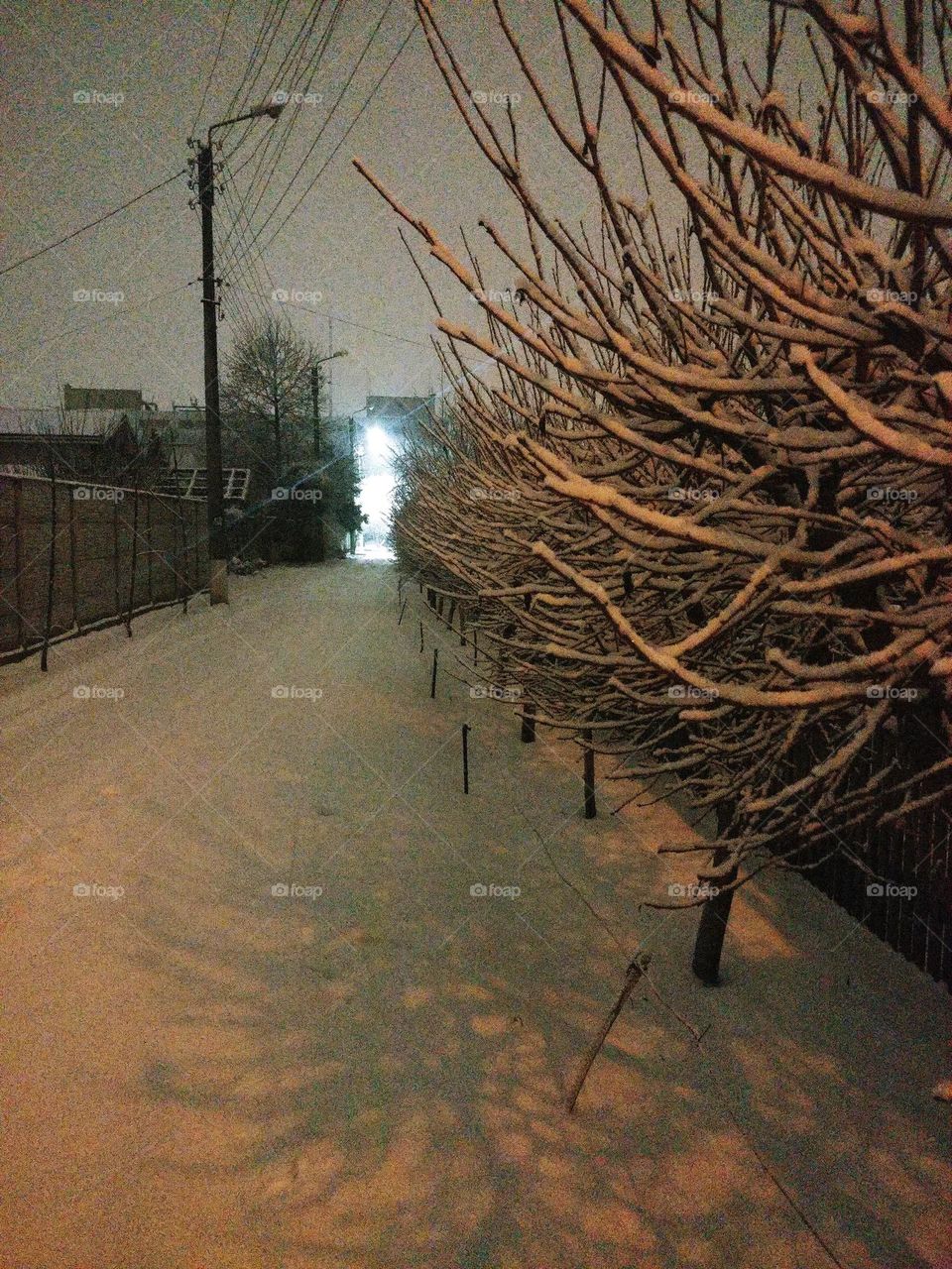 Snow Снег Ukrainian