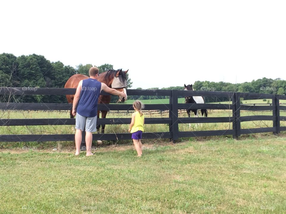Daddy, Daughter, Horse 
