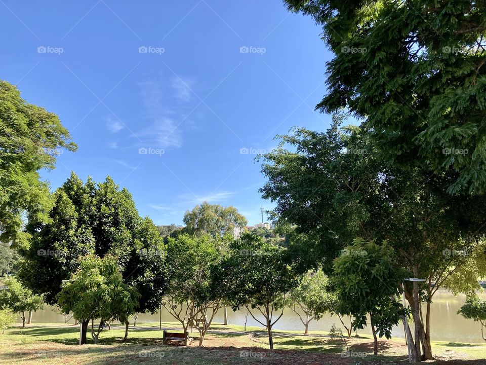 08h30 no Lago do Taboão, em Bragança Paulista. 
Esse feriado promete um linda dia, não?
Veja só que belo cenário: