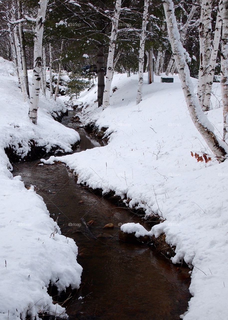 View of a river during winter in forest