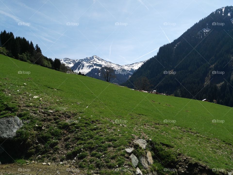 Österreich Alpen