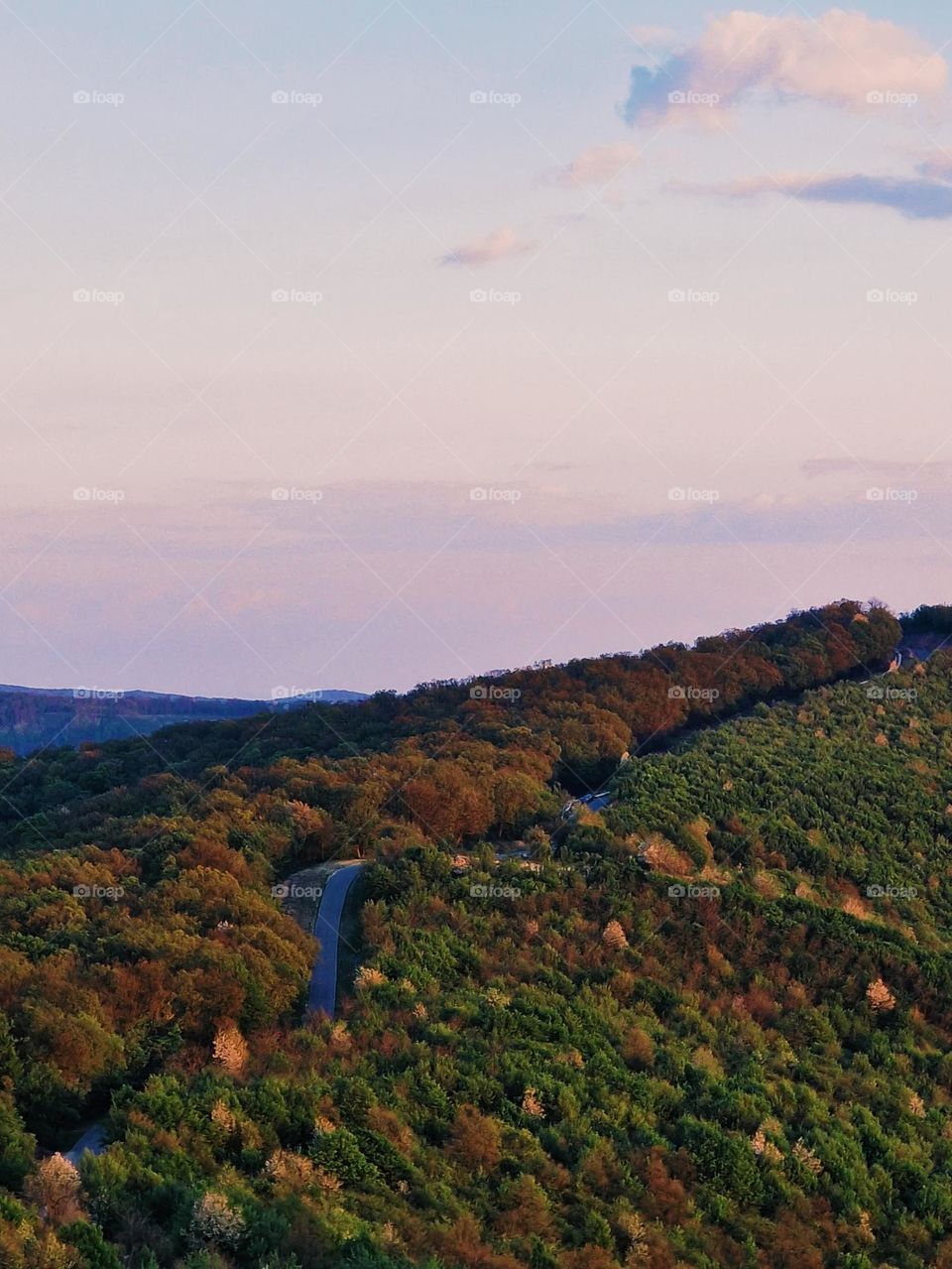 autumn road