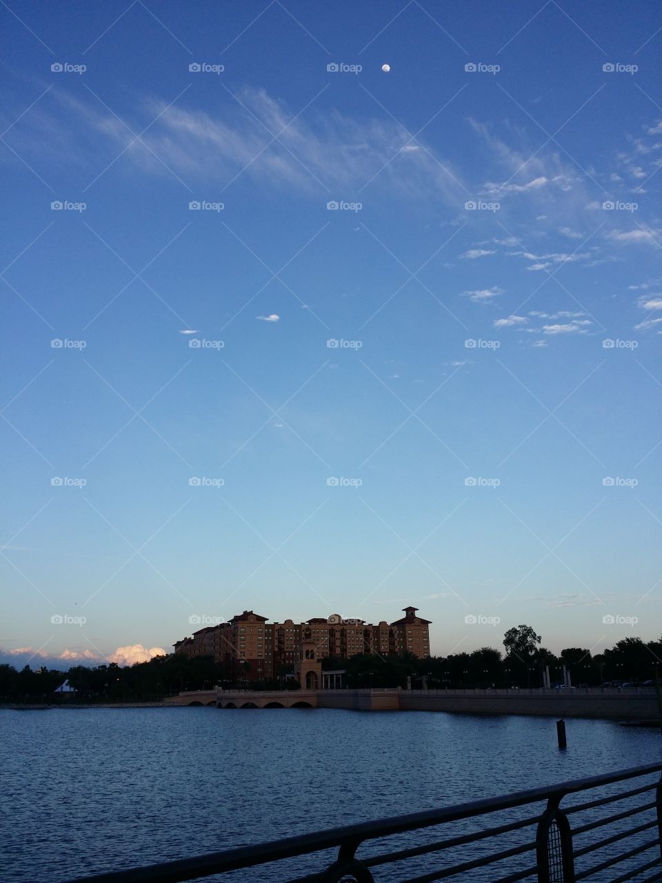 A Moon Above Cranes Roost . Took this at Cranes Roost in Altamonte Springs Florida