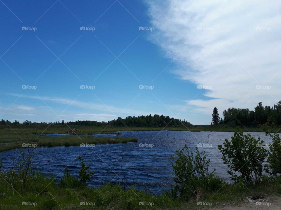 Harmony of watery marsh and blue sky