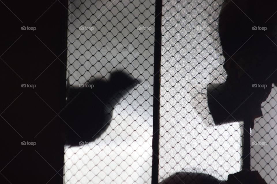 All rights are reserved