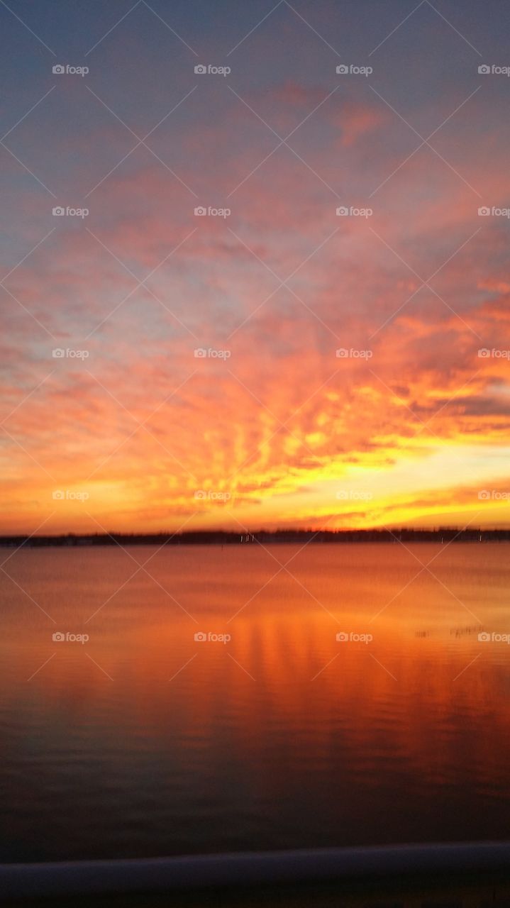 Winter brilliant by Noel