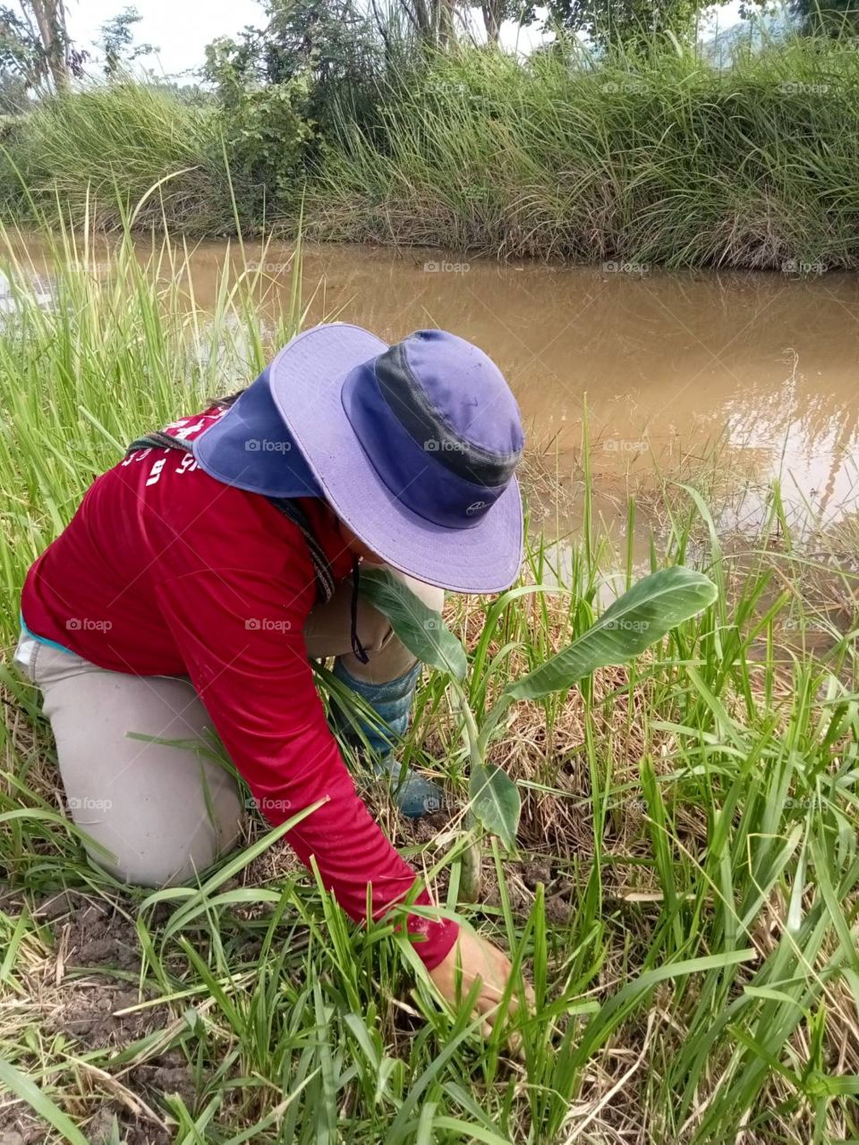 This is why I love my job, Countryside (Thailand)