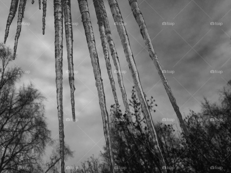 Icicles 
