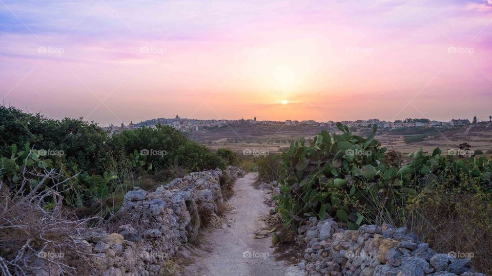 Path to the sunset