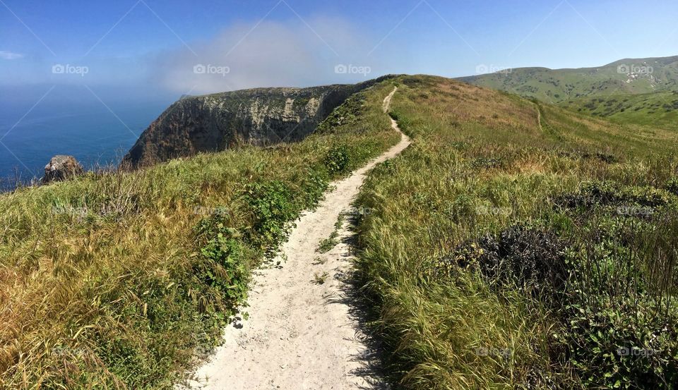 Path on a cliff side of channel islands national park