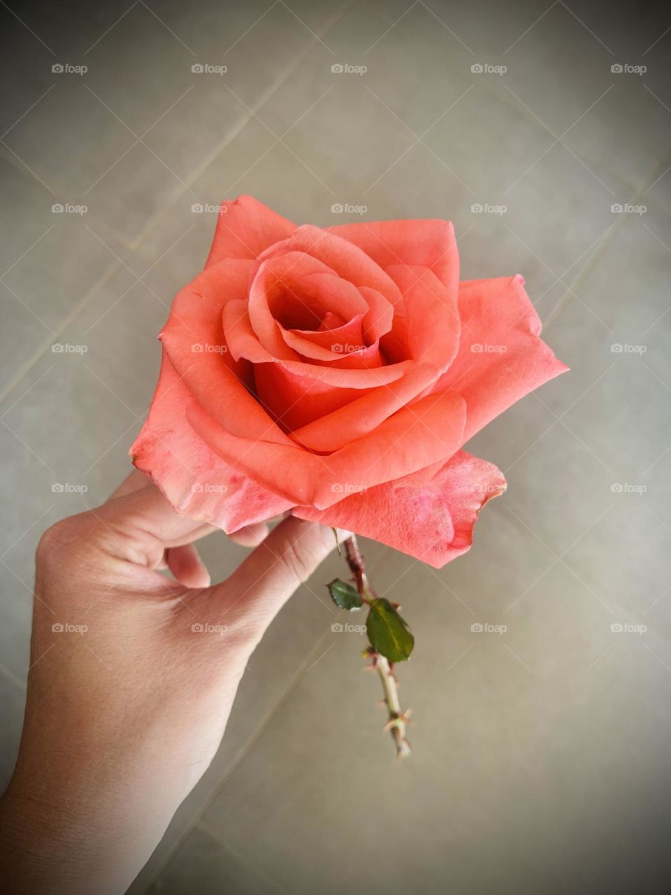 Editor’s Choice: Photo of the Week