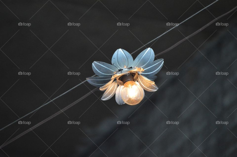 One of the prettiest allies I've seen. 🌸💡🌸