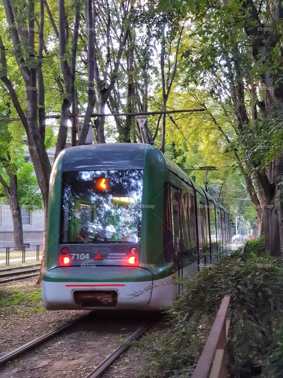 Green tram