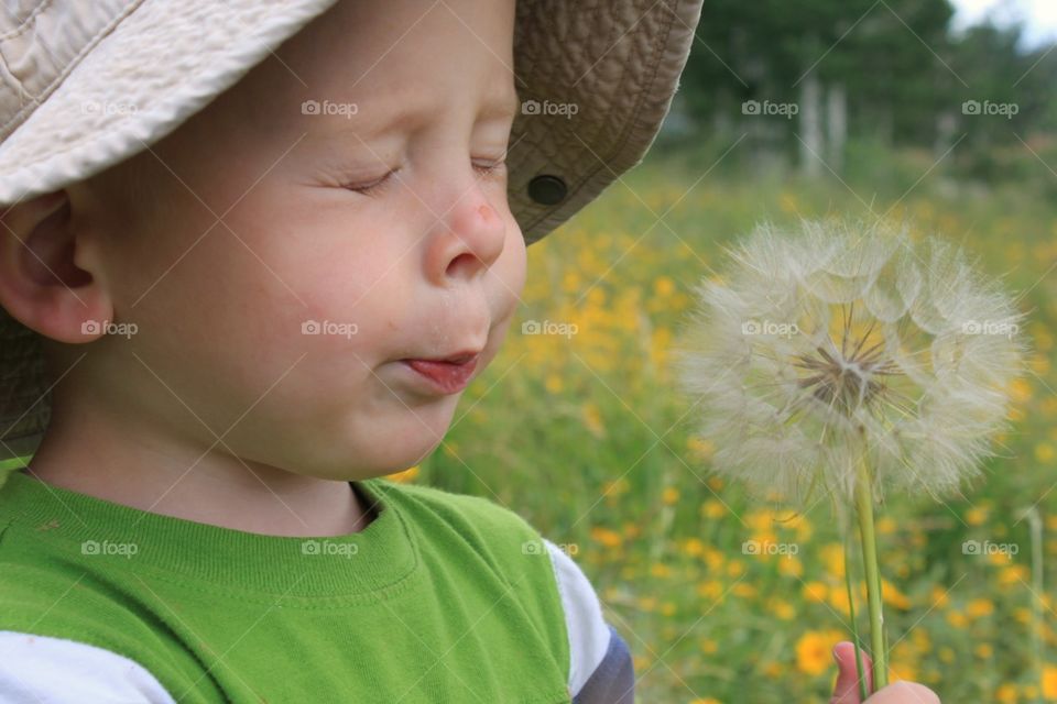 Make A Wish