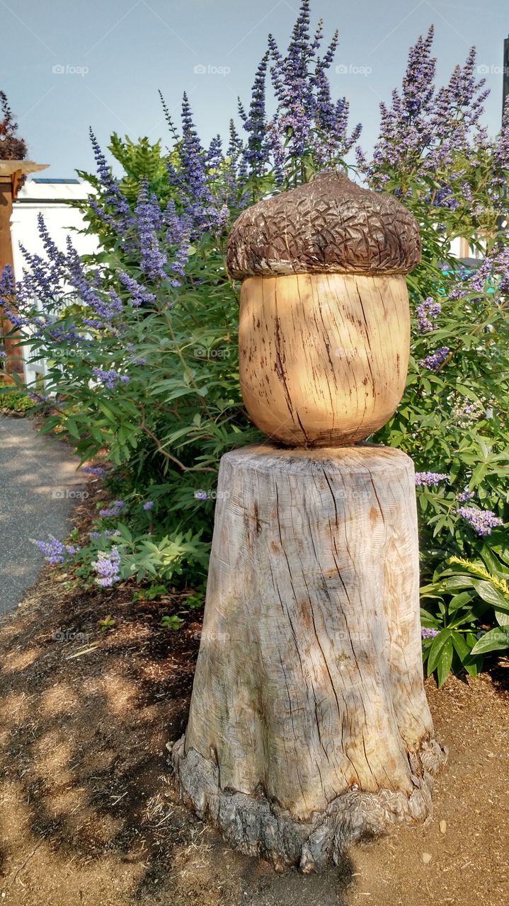 Stump Art. Sequim, WA