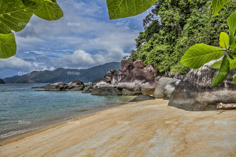 Scenic view of beach