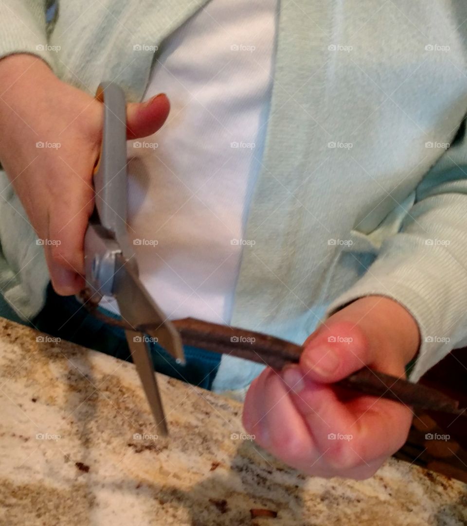 Working Hands Close-up