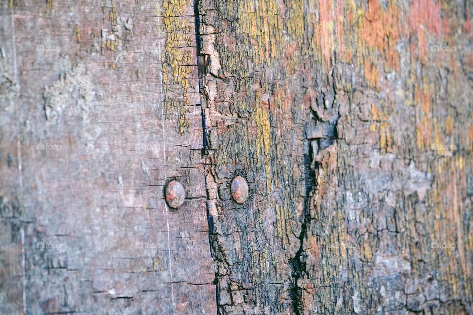 Wooden texture