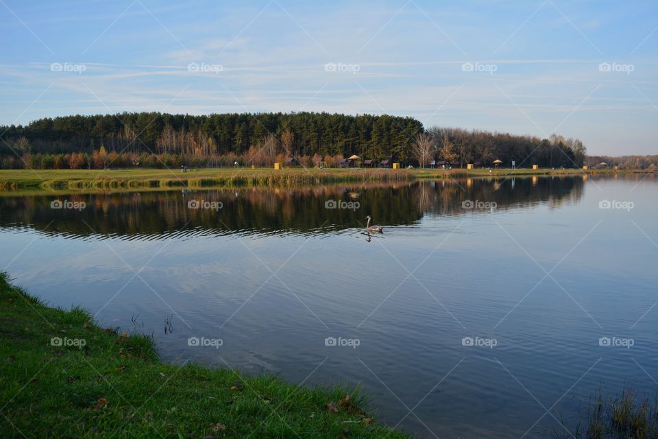 forest and lake shore beautiful landscape blue sky background