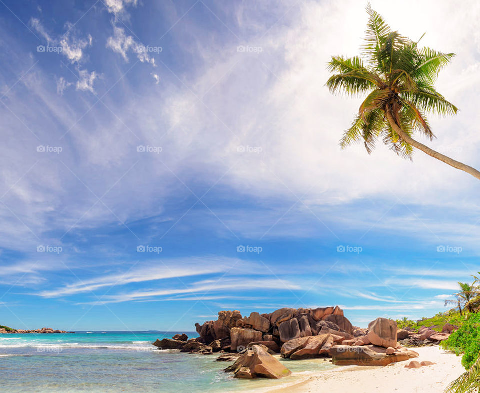 Travel around the world