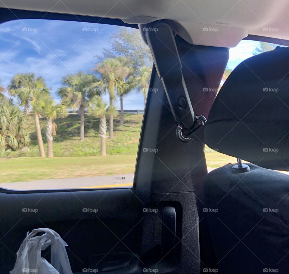 Road trip view from the back seat