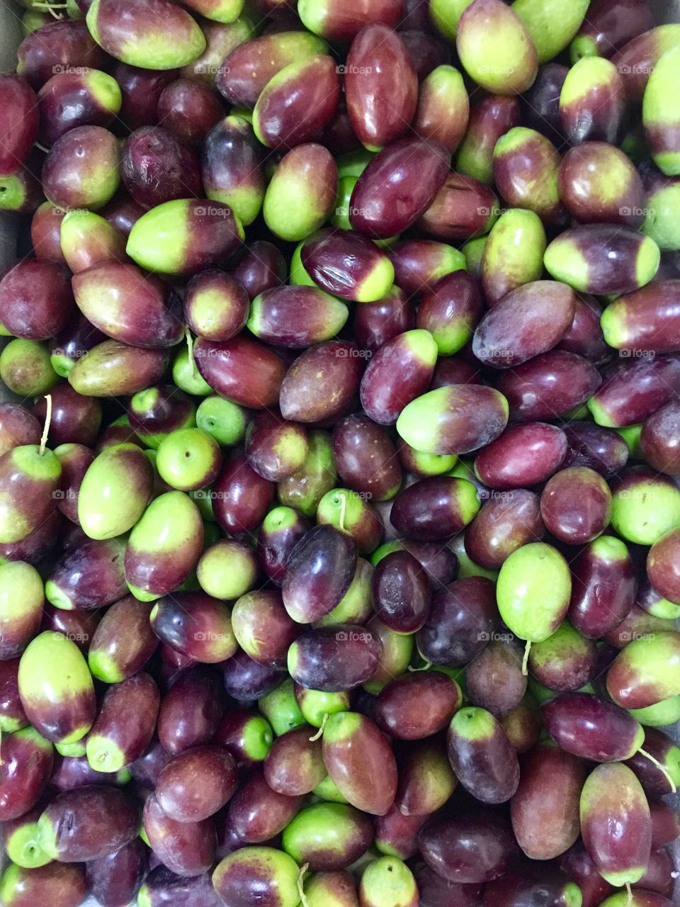 Olives 