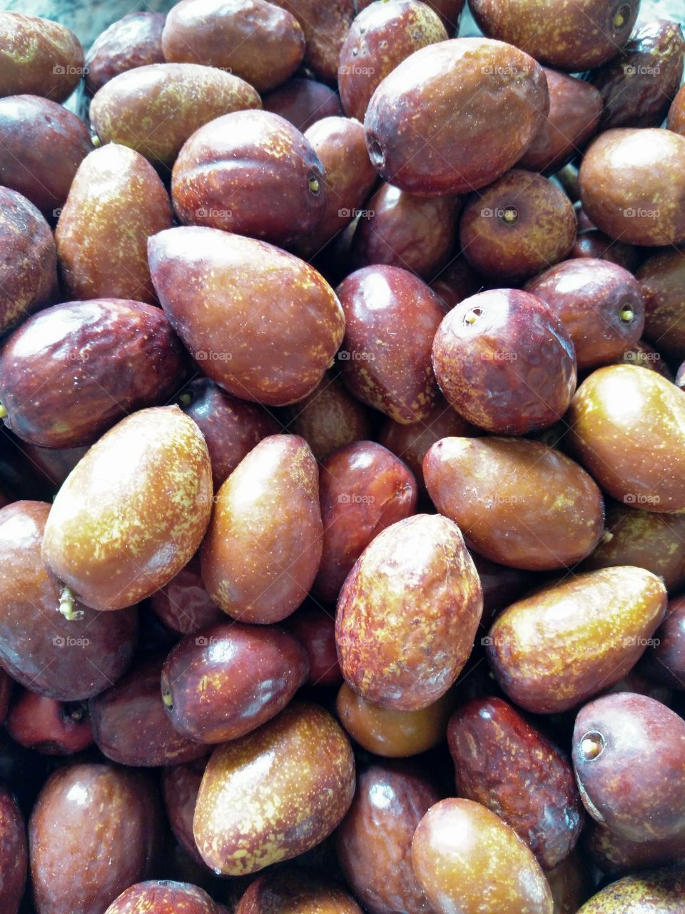 a quantity of brown jujubes fuits just picked up from the tree