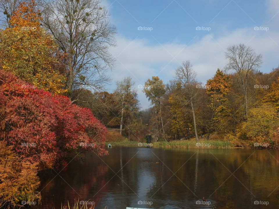 Autumn time. Bright colors of autumn. Autumn landscape.