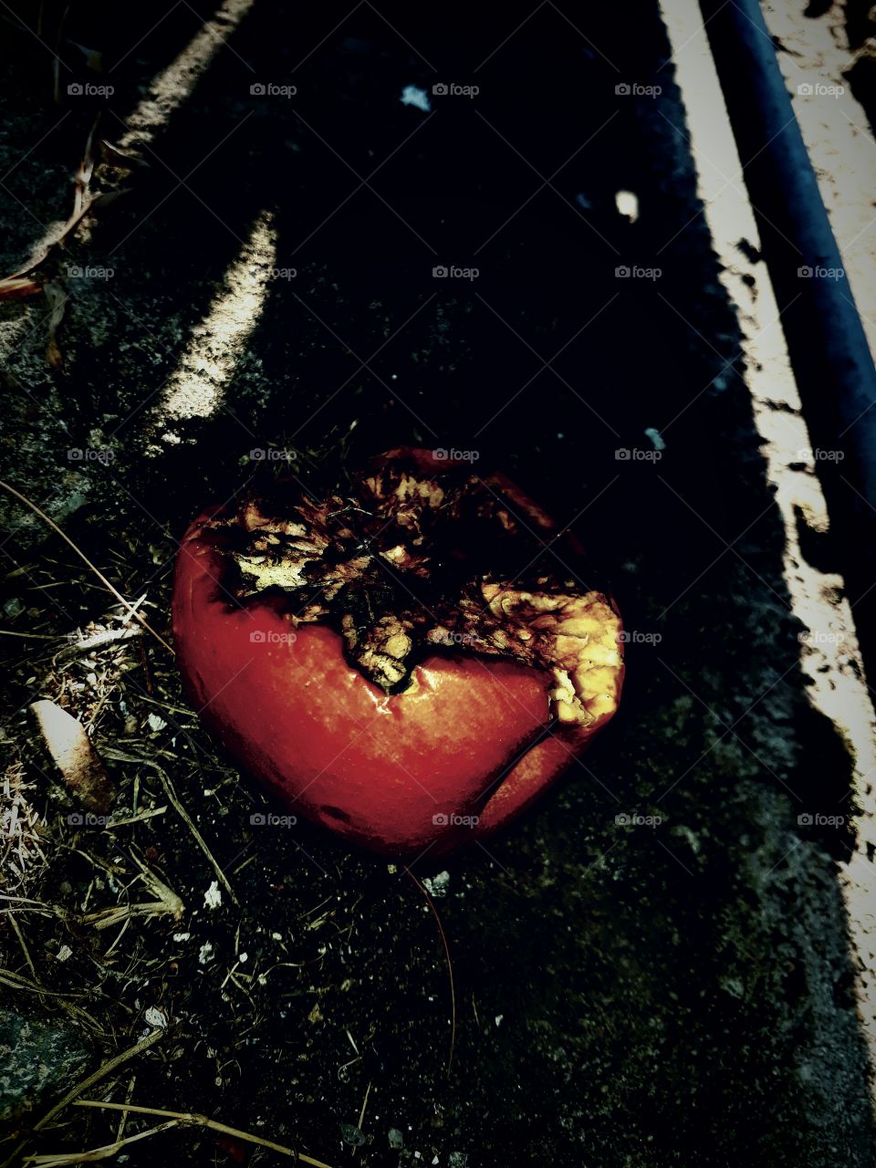 one apple a day,keeps the doctor away.