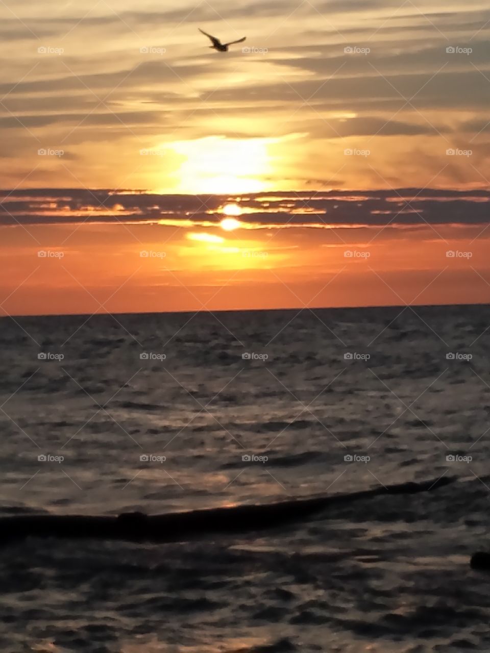 View of lake erie during Sunset