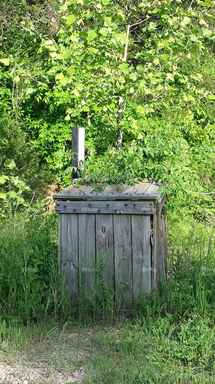 Wooden Box. Woods