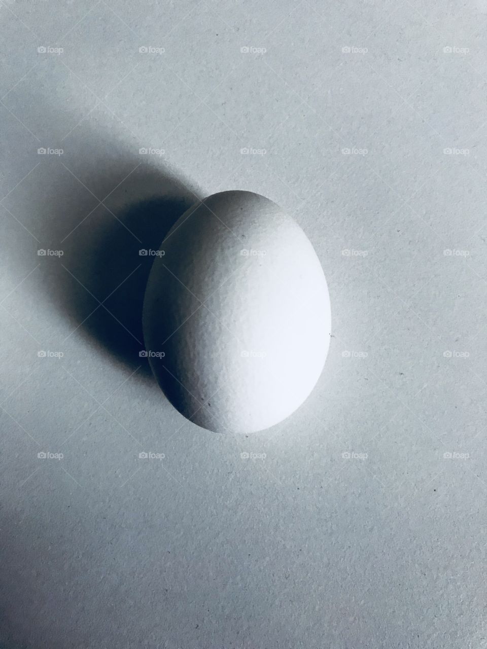 An egg 