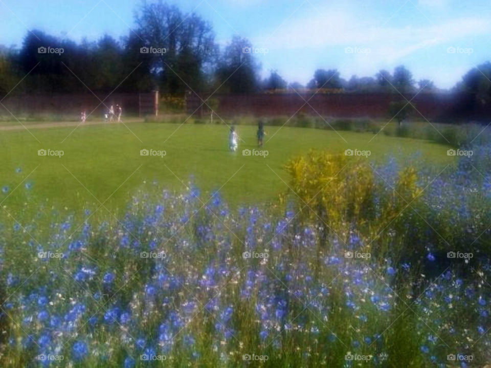 Toddlers playing in country garden