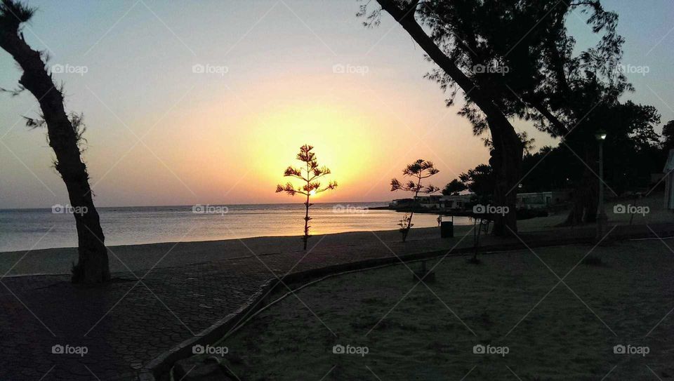 Nature beauty , Alexandria, Egypt